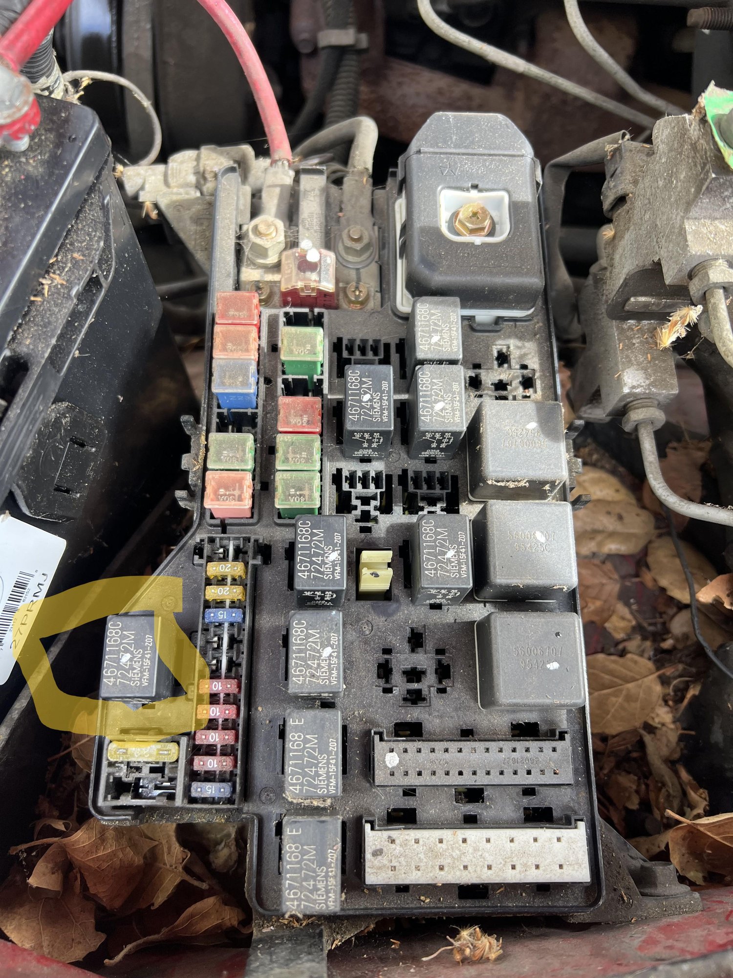 Is it the circled one?