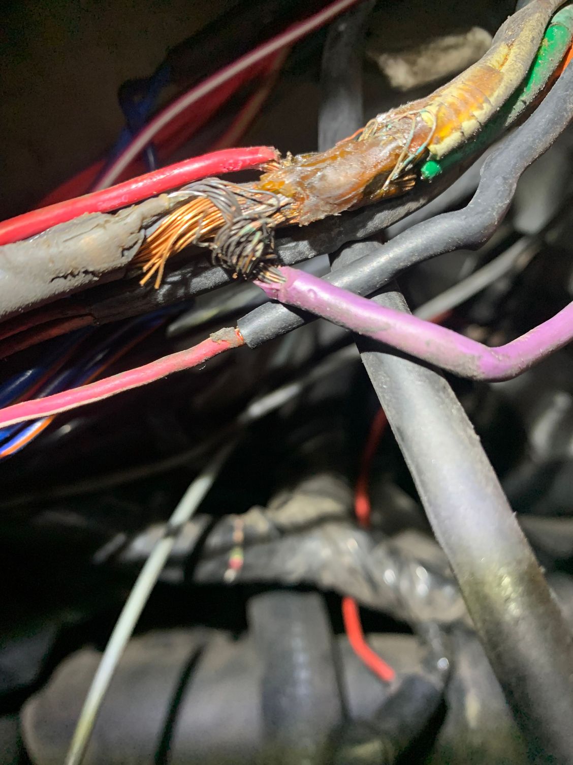 Fusible Links and Alternator Short