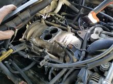 plenum 