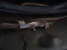 Blue bandit, cant stand it. Whoever previously jumped shit should be reprimanded. 