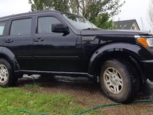 All shined up no place to gallop.