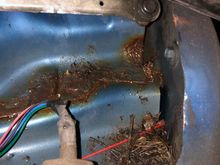 wiper cowl driver side area filled with shit