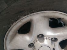 Aftermarket accessory: Fur Lined Wheel!