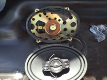 New Pioneers all around