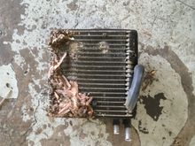 Leaves blocking evaporator