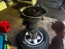 trans pulled and stood up for TC removal