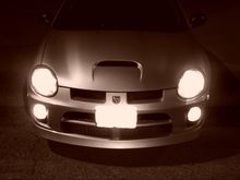 PIC00074