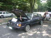 rare aries 87 Aries coupe &amp; 84 Chrysler 5th Ave