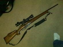 its kind of a poor pic but thats what I use for deer hunting...