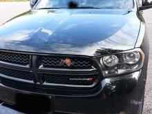 While taking these photo's I had noticed something on the grill????!!!!