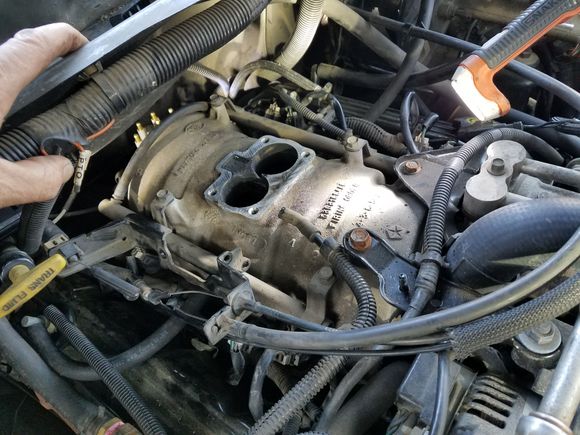 plenum 