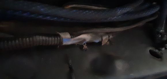 Blue bandit, cant stand it. Whoever previously jumped shit should be reprimanded. 