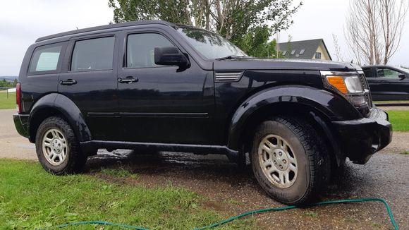 All shined up no place to gallop.