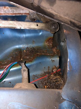 wiper cowl driver side area filled with shit