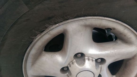 Aftermarket accessory: Fur Lined Wheel!