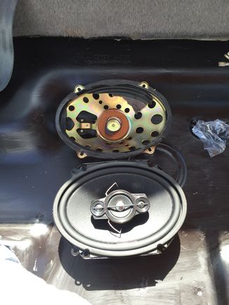 New Pioneers all around