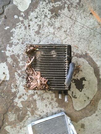 Leaves blocking evaporator