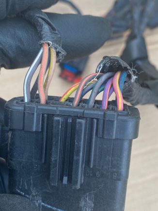 main 13 pin connector from one side