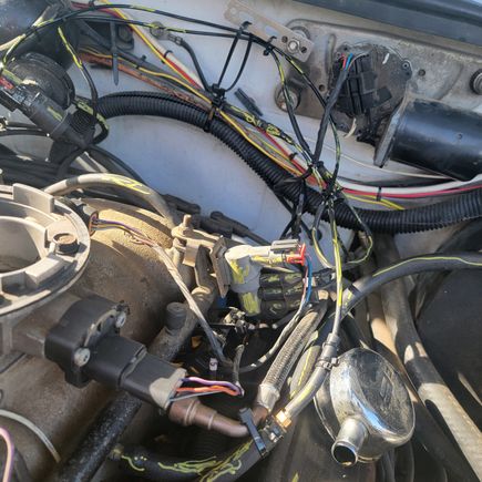 Showing in fore ground, 1/4in X 1/8in barbed adapter and vacuum hose to hard line. Yellow on purge solenoid, to hard vacuum lines moved to firewall. Maybe I can fab a shelf either under the convolted wire bundle or above it, to hold the EGR and the purge solenoid.