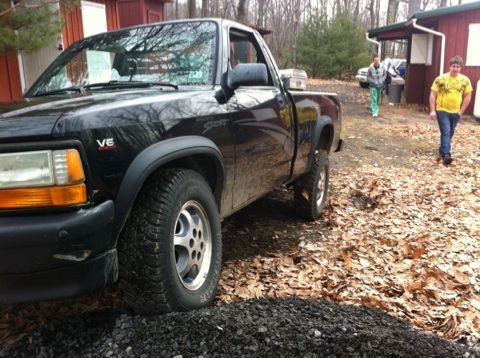 Flexing stock.