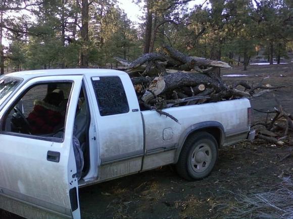 Gotta stay warm free fire wood way out here.