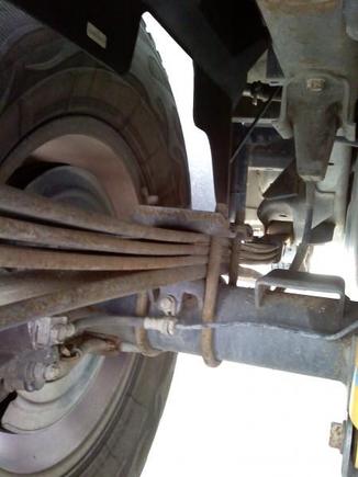 Rear Springs