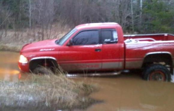 481903 4108274152506 88239457 n