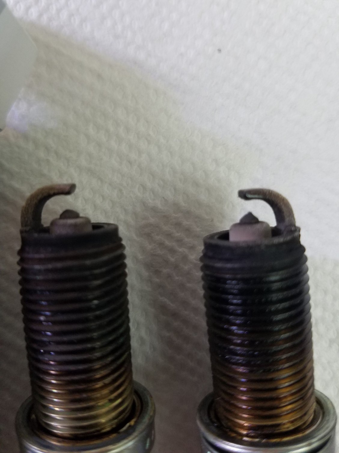 Normal spark plug wear G35Driver Infiniti G35 & G37 Forum Discussion