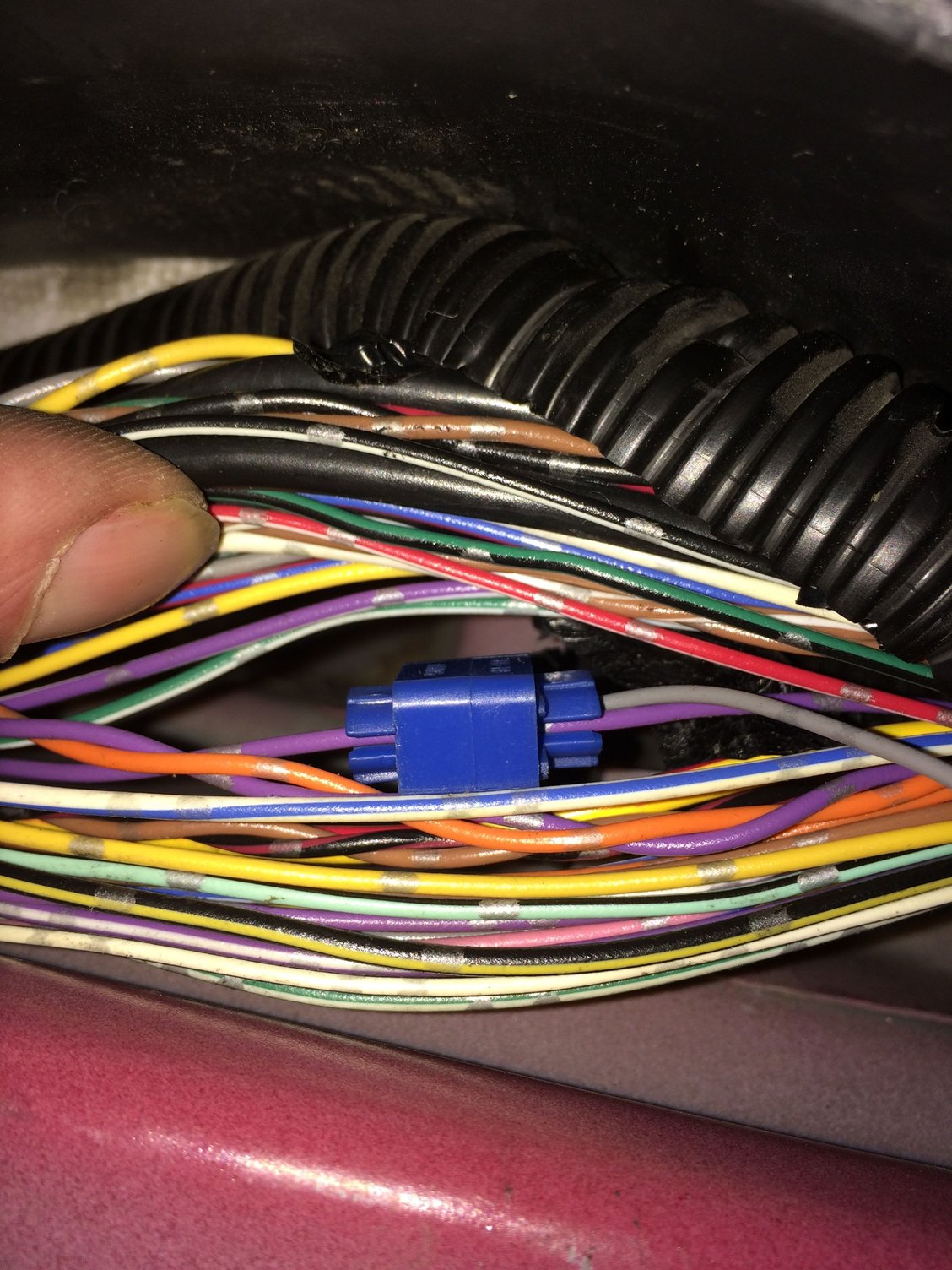 Where to tap into reverse signal? G35Driver Infiniti G35 & G37