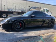 I couldn’t put her through another Northeast winter