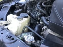 I recently put coolant in.  This is what it looks like a day later🤦🏾‍♂️🤦🏾‍♂️🤦🏾‍♂️