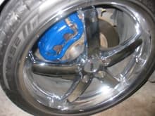 Painted Calipers (1)