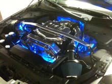 Added blue LEDs to the engine bay to help show off all the polished goodies.