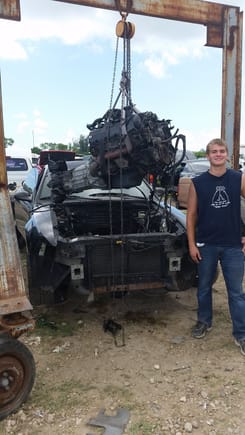 Mustang GT engine pulled from a junkyard.
