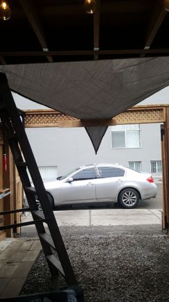 Sun shade fukc you snow