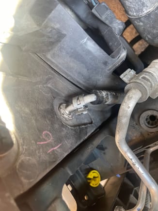 how do i remove this hose from my radiator