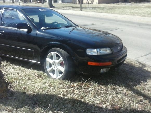 What started the affair. my 96 nissan maxima se. 5spd. she's now the toy