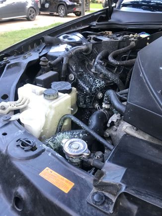 I recently put coolant in.  This is what it looks like a day later🤦🏾‍♂️🤦🏾‍♂️🤦🏾‍♂️