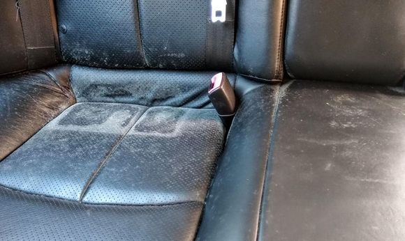 Mold ~ this is just random pic. It was everywhere!