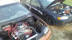 My Post Pictures