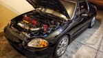 My Post Pictures