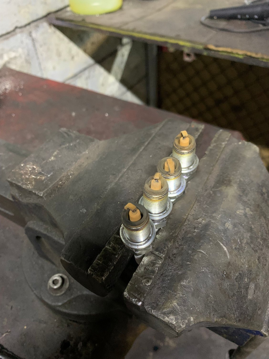 What do you think? It is a D16y8