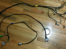 Rywire harness