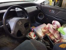 Canadian flag shift boot for now.