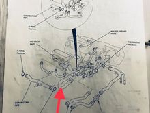 Hose I’m replacing (Red arrow)