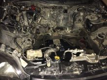Dirty Engine bay