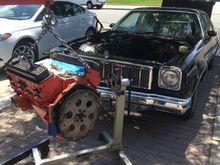 Engine going in the Chevelle
