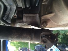 About 6" that need to come off