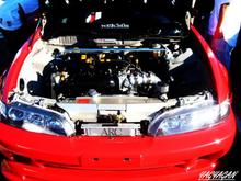 SAVAGE ASS INTEGRA.