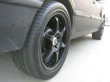 IMG 4736